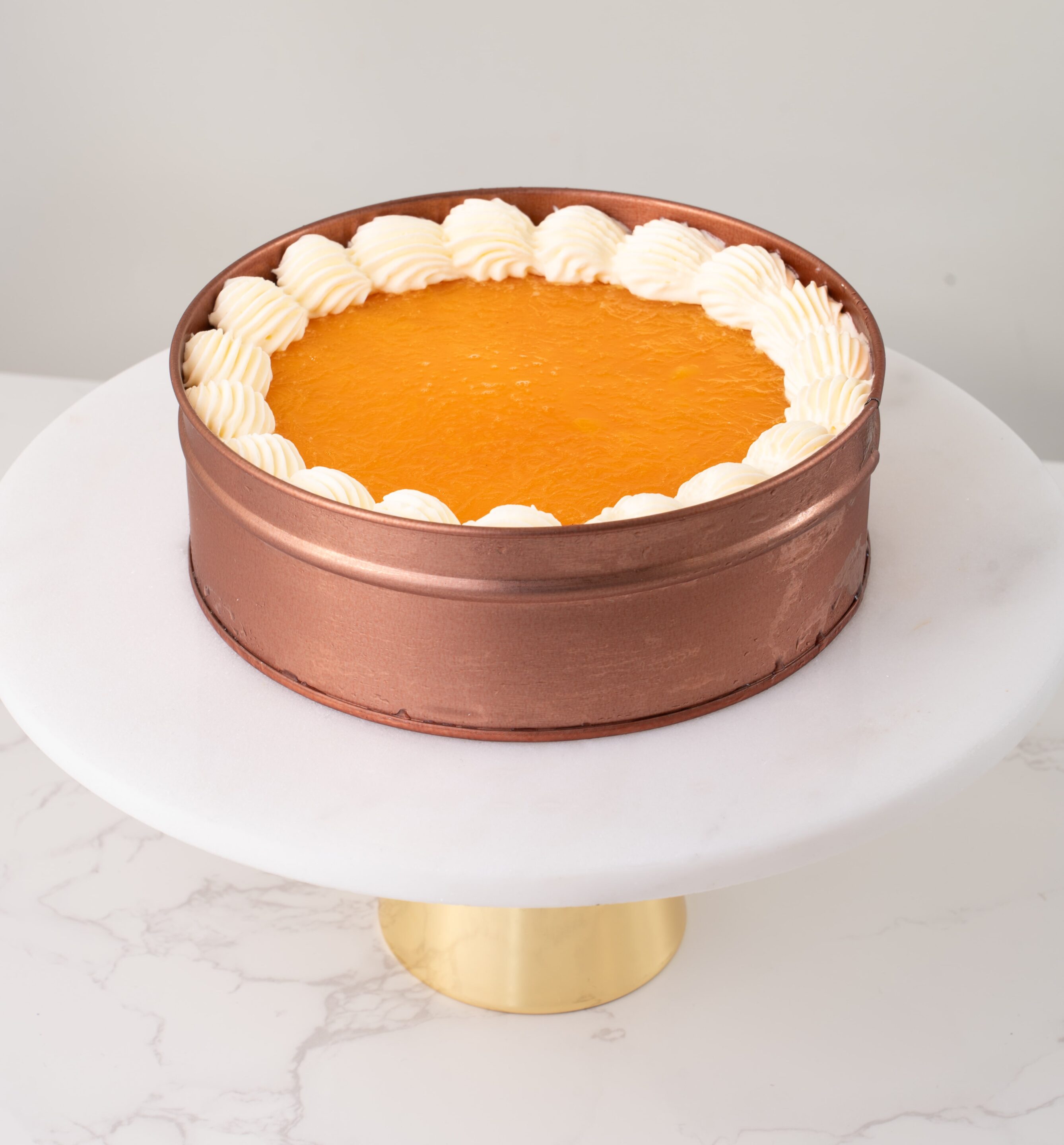 6X2 MANGOLICIOUS TIN CAN